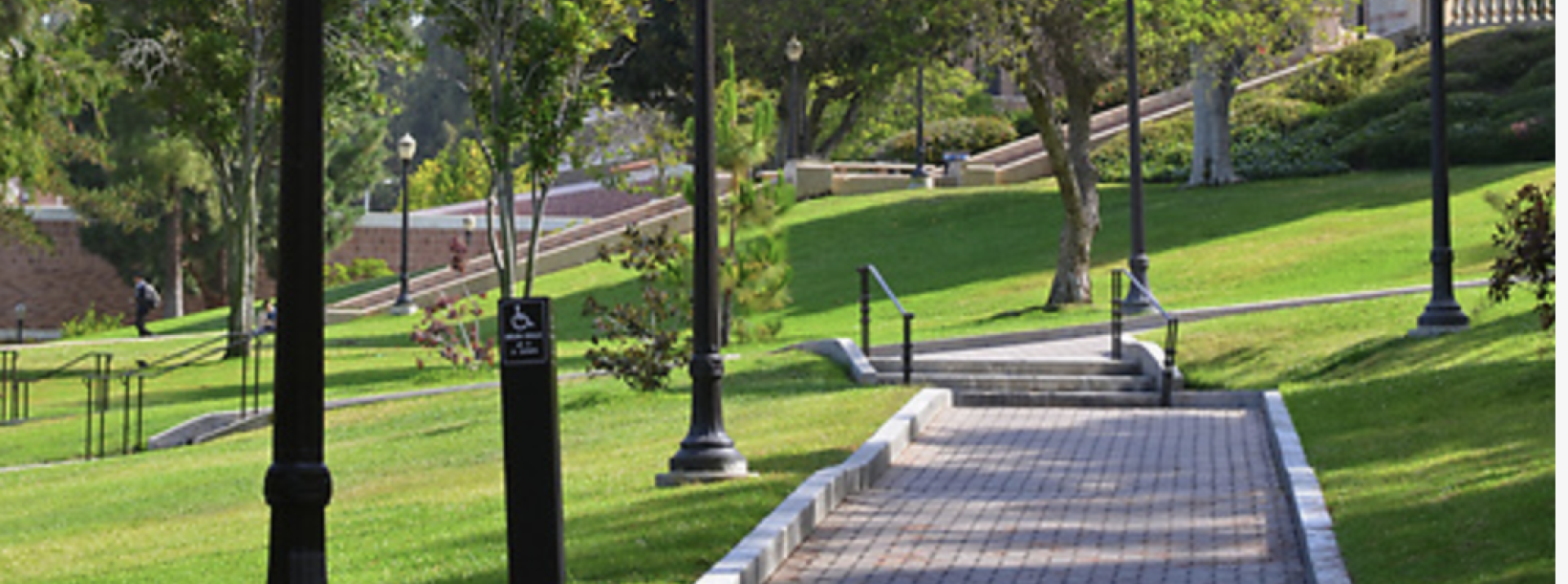 A paved pathway surrounded by grass and trees at UCLA campus.