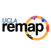 REMAP Logo