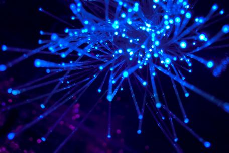 Fiber Optics by JJ Yung on Unsplash