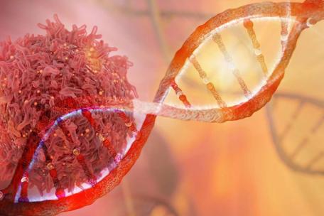Image of red and orange strand of DNA