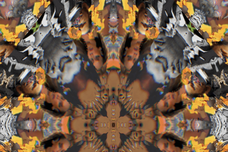 collage of african american leaders