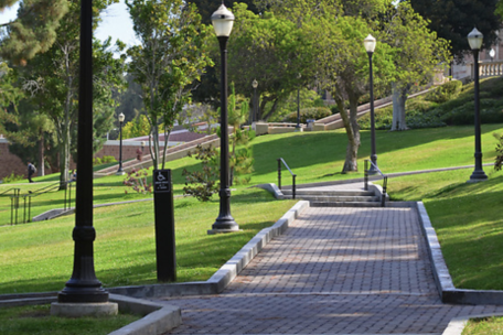 A paved pathway surrounded by grass and trees at UCLA campus.
